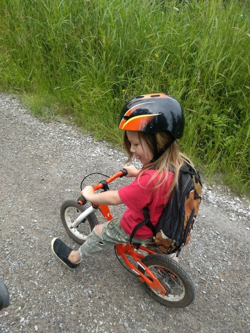 Judas Jr. started a week of summer day camp at Hartley Nature Center yesterday. He had a blast and t