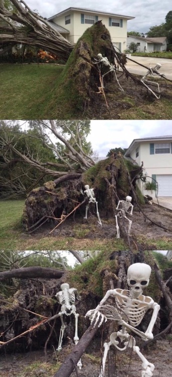 emsnkie: Making the best of a bad situation