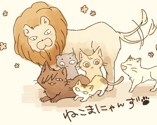 saaaaaaaak:  ねこまりん
