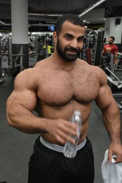 Arab muscle Dreamz