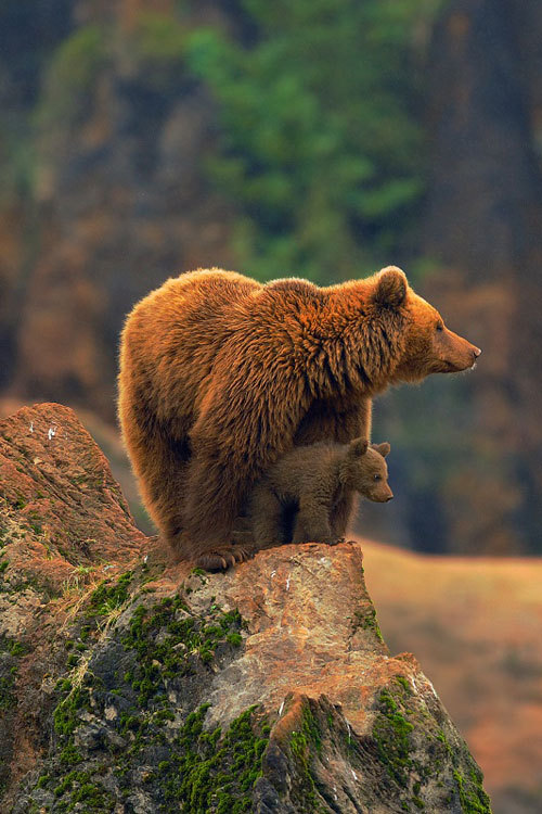 En famille