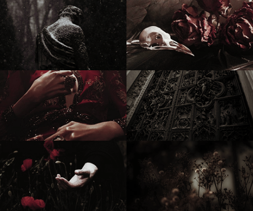 ibuzoo: Modern Myths Network | Event Six | Colour Palette | moral↳ Hades and Persephone