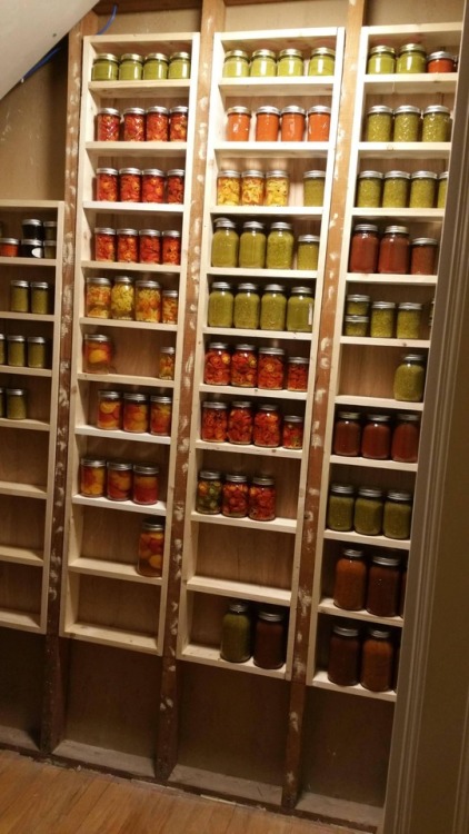 Canned produce from the garden - by /u/oh2ridemore “Using bays between studs for canned goods 