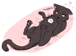 “I didn’t know your cat had a patch of white fur on her chest?”“She doesn’t&hellip;?”