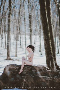 corwinprescott:  “Into The Wild”Harrisburg,