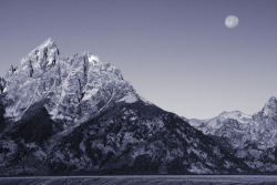 meowntain:  Moon shot, Grand Teton, Wyoming