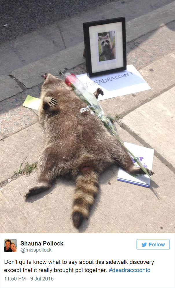2jam4u:  becausedragonage:  thewightknight:  People in Toronto made a memorial for
