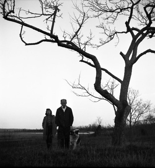 Jackson Pollock and Lee Krasner, Long Island, 1949