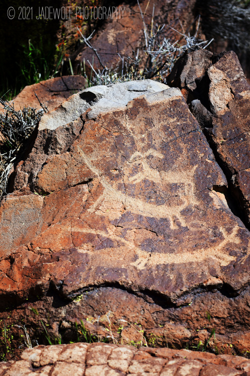 Coso Rock Art District PetroglyphsLittle Petroglyph CanyonNAWS China LakeRidgecrest, California