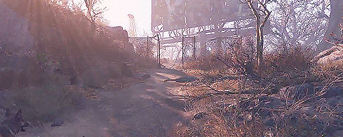 Forward through the cold dawn