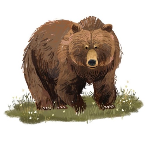 Another little bear painting.#grizzlybear #grizzly #bear #sketch