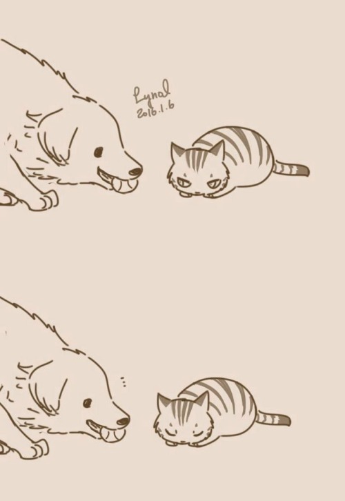 noisy–brain: pr1nceshawn: Dogs And Cats  by Lynol  .  This was so cute wtf 