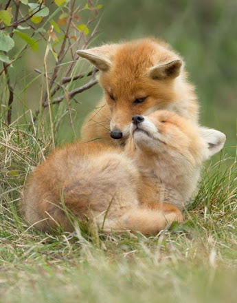 mrdegradation: blinky2k6:  @drunkninja42 @mrdegradation   Oh my goooooosh  Eeee <3