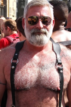 bearyfellas:  Fur, daddies, muscle. Very powerful. 🐻 bearyfellas.tumblr.com