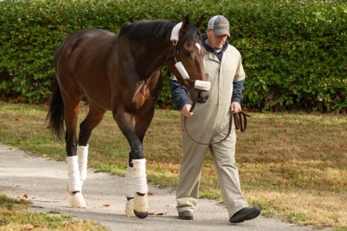 Catholic Boy has arrived at Claiborne. (x)