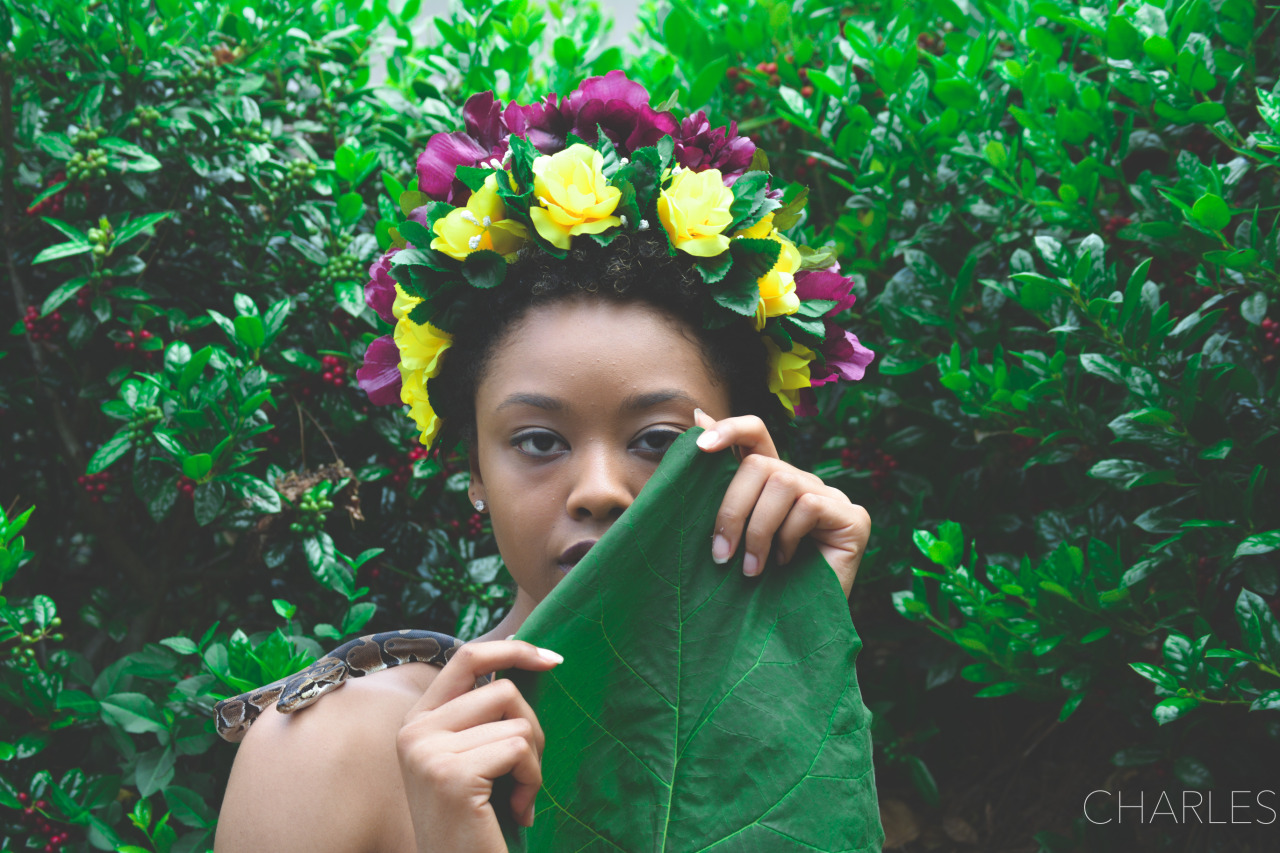 lasergunsandcongodrums:  Garden of Eden Photography by Spencer Charles 