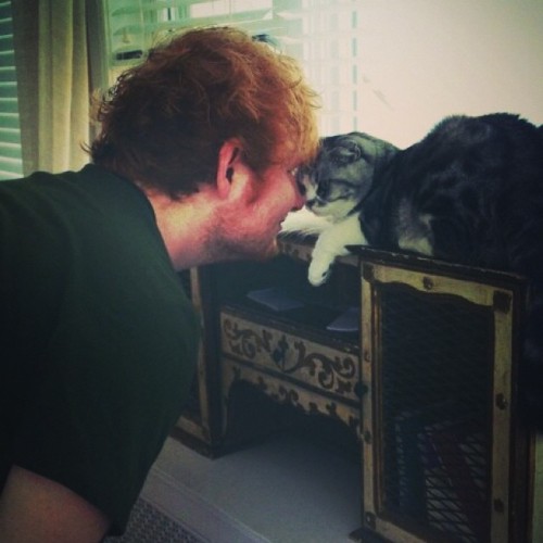 taylorswift:  If you’re on the fence about buying Ed Sheeran’s new album, X, allow me to convince you with this image: 