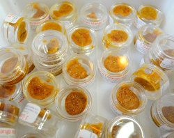 stuff-stoners-like:  Cannabis Concentrates Approved as Medical Marijuana in CA A Sacramento state appellate court just ruled that cannabis concentrates qualify as medical marijuana. The changes stem from a 2013 case involving a dude named Sean Patrick