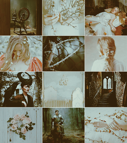 aesthetiae: ♔ Sleeping Beauty Moodboard♔ “Just then the wise young fairy came from behind the 