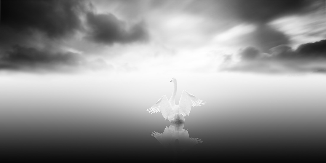 artemisdreaming:  Swan Lake, Zurich, 2010 Vassilis Tangoulis HERE See High-res 