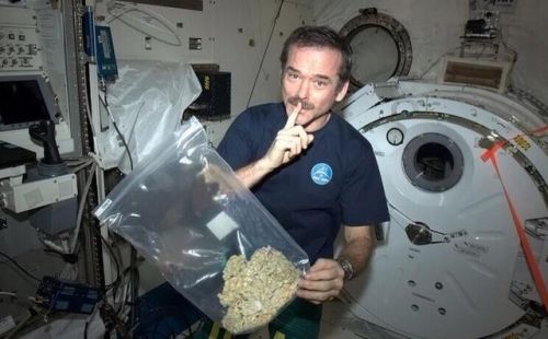 waitforsomethingwild: oneman-wolfpackk: buddh1sm: thatsgoodweed: Nothing is illegal in space Serious