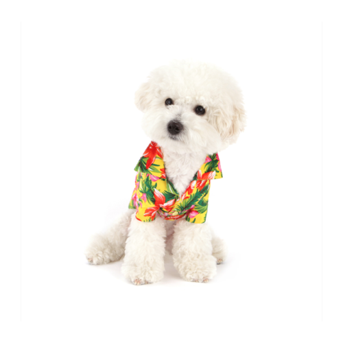 I’m going to jump out a window: this dog fashion brand is too adorable dot com.