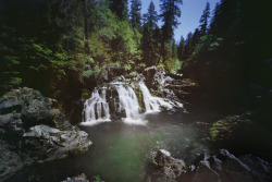 brutalgeneration:  journey to opal creek (by manyfires)