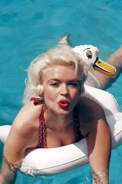 20th-century-man:Jayne Mansfield