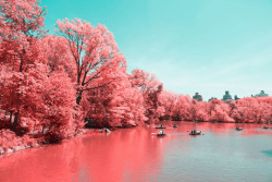 wetheurban:  Infrared NYC, Paolo Pettigiani Paolo Pettigiani is an Italian graphic designer and photographer from Turin of 24 years, based in New York. Recently settled in New York, he decided to to capture with poetry a surprising collection of pictures