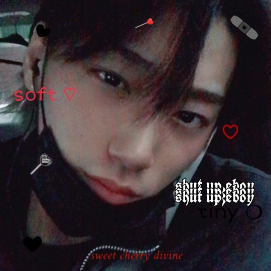 Tumblr media