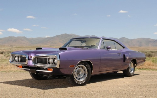 musclecarsfans:  Follow For Muscle Cars Everyday