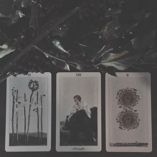 alteriusnocte:  LouLouLeRoux