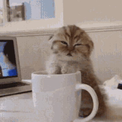 Happy Monday! ☕😴