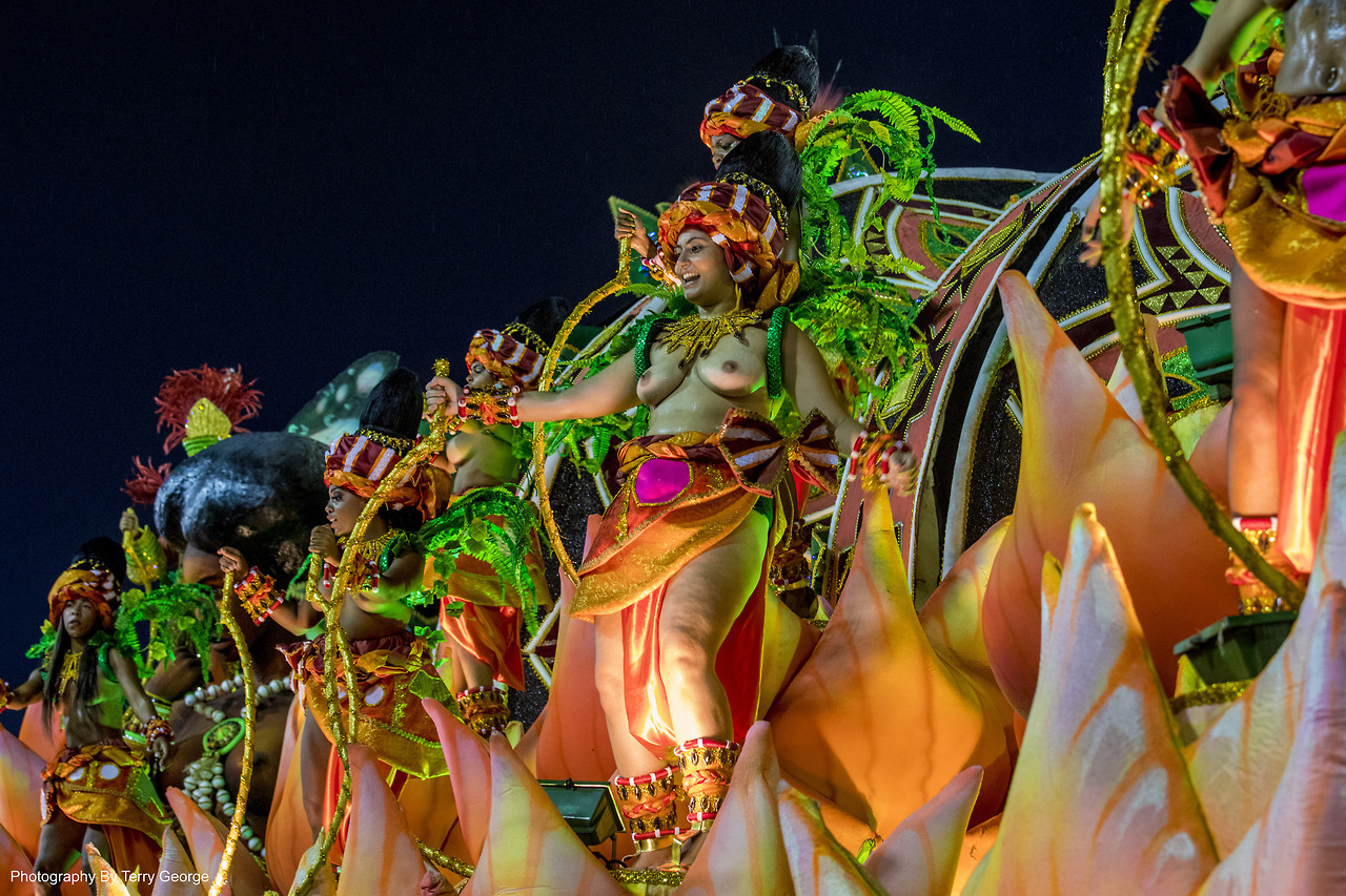 Carnival in Rio De Janeiro 2017, by Terry George.