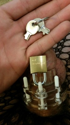 cravatman2007:  ragst350:  When she gives back your chastity keys like this..  …means eternal chastity 