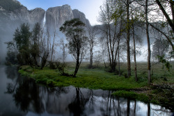 smithsonianmag:  Photo of the Day: Early morning at Yosemite Photo by Mark Roberts (Redwood City, California); Yosemite National Park, California 