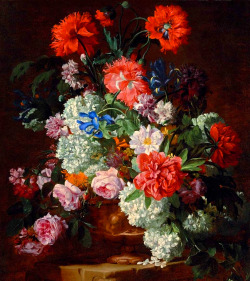 Clara–Lux: Galle, Hieronymus (1625–After 1679)  Roses, Peonies, Poppies, Carnations,