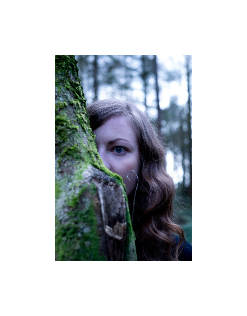 down in the woods&hellip;.www.jessieedwardsthomas.co.uk