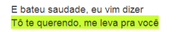 mentiras inteiras vazias