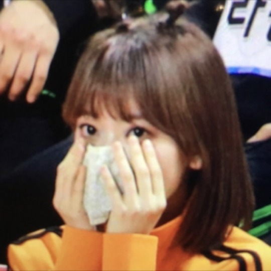 messbot:     ✰ ~ miyawaki sakura ^_^ messy layouts ~ ✰ 