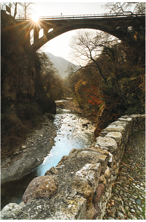 A Nature Blog
