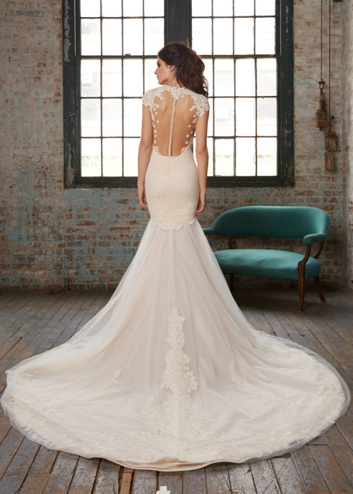 Isabelle Armstrong Spring 2017 Bridal Collection