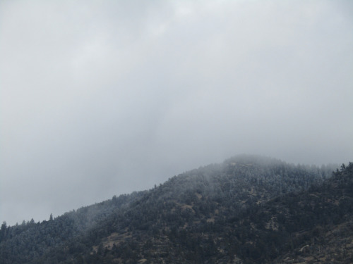 Misty Morning, Snow on the MountainMay 11, 2022The thermometer read 32 degrees at 8am PST and low cl