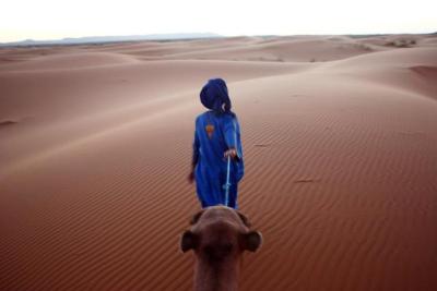 Merzouga, Erg Chebb On Camel, Morocco