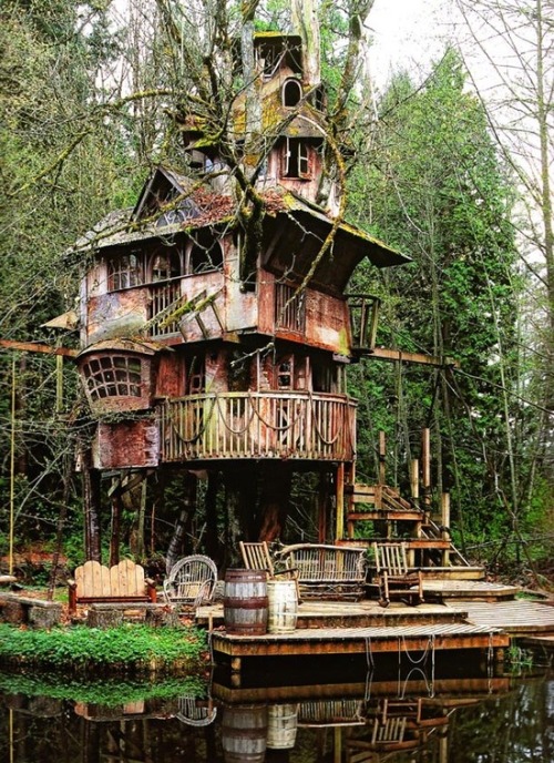 XXX sixpenceee:  Redmond Treehouse This plywood photo