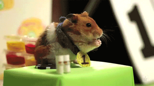 tastefullyoffensive:  Video: Hot Dog Eating Contest: Tiny Hamster vs. Kobayashi  I’m upset they didn’t make a gif of the angry stare down between Kobayashi and the hamster