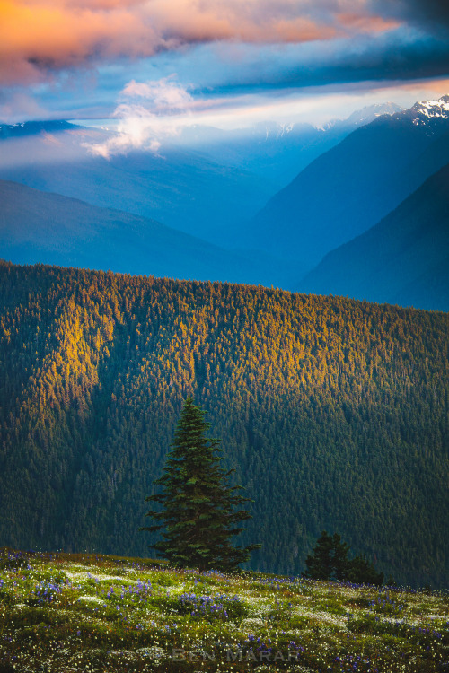  Stand out from the crowd | Photo by Ben Marar  