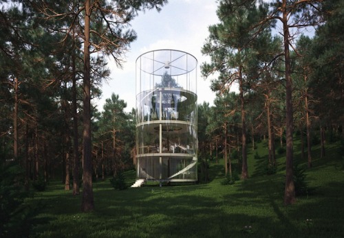 mymodernmet: Translucent Home Built Around a Tree in a Kazakh Forest i’d love to see this future ^_^