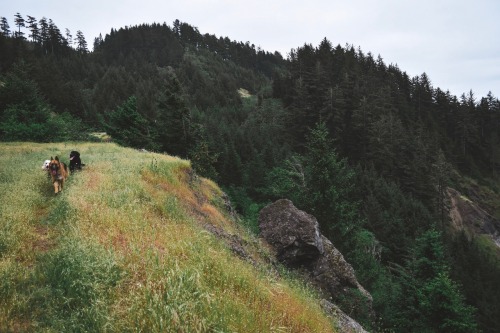 adventureovereverything: The Oregon Coast will forever hold a special place in my heart