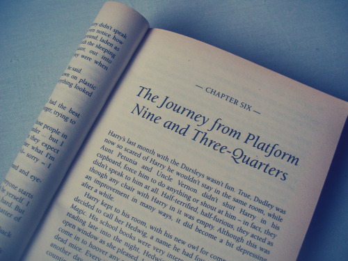 Harry Potter and the Philosopher&rsquo;s Stone (by Verdades Ocultas)